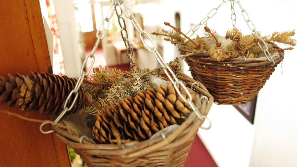 Hotel Alpina Davos Bagian luar foto